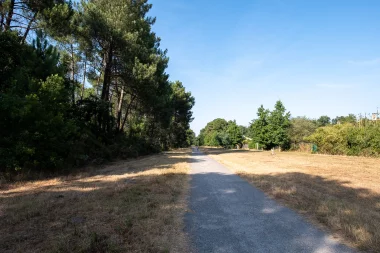 Site du Bourghail de Merignac (8).
